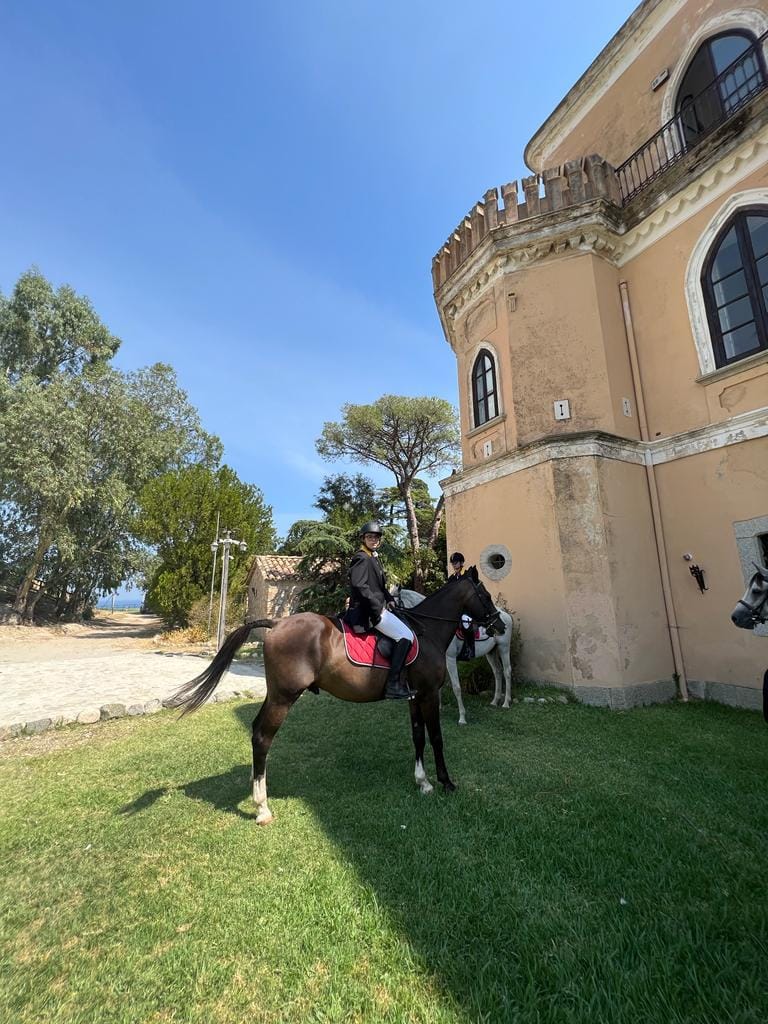 Caccia la volpe