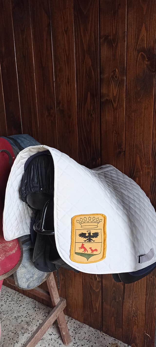 Caccia la volpe