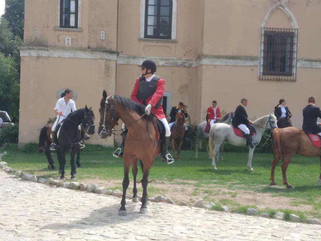 Caccia la volpe