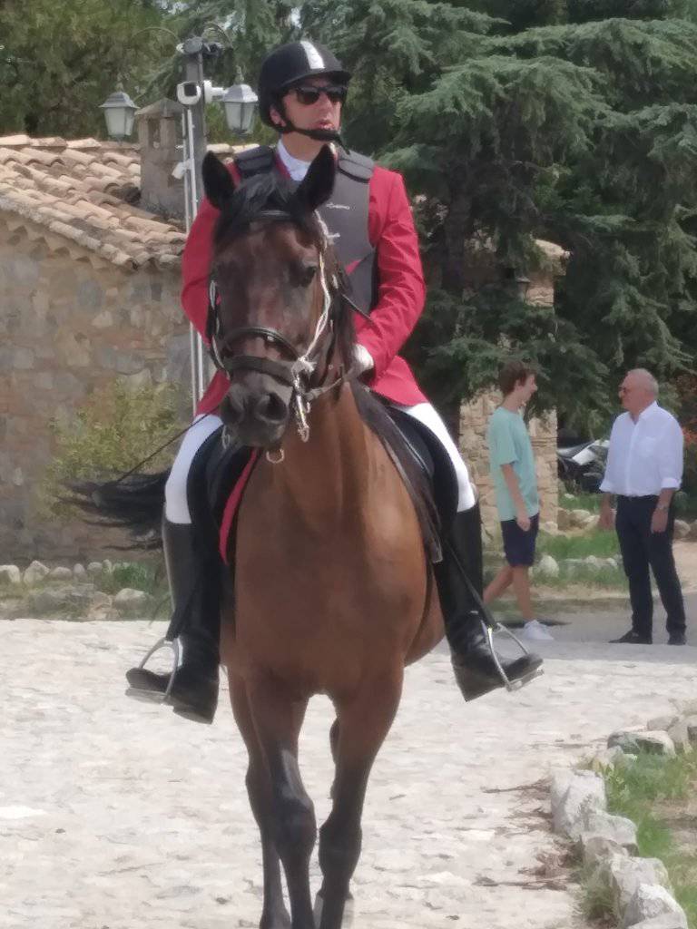 Caccia la volpe